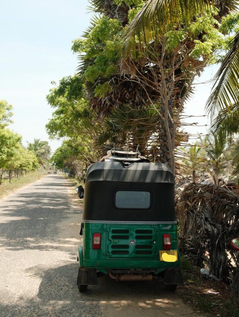 Green RideMe tuk tuk parked on a palm-lined road near Arugam Bay